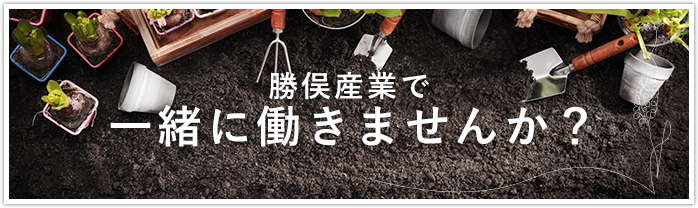 採用情報